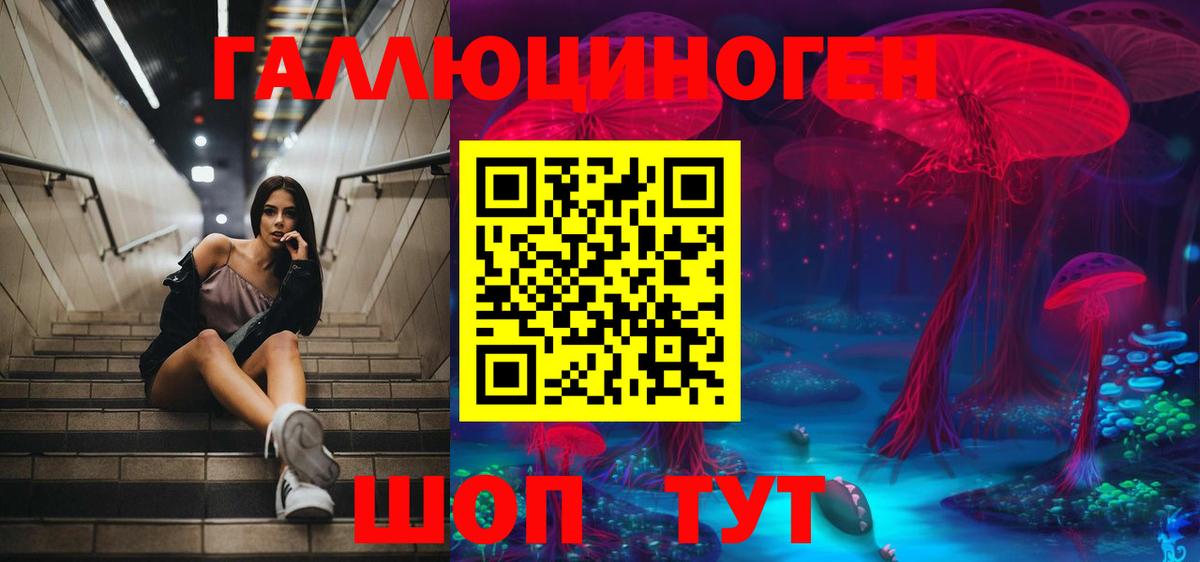 Кохма  Псилоцибиновые грибы Cubensis  Вход с VPN  дарнет шоп  Псилоцибиновые грибы Psilocybe 